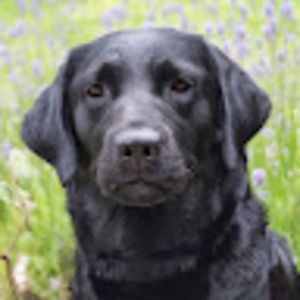 Meet your Posher, Agnieszka